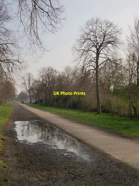 Photo 6"x4" The Great South Avenue, Ham (1) Kingston Upon Thames c2016