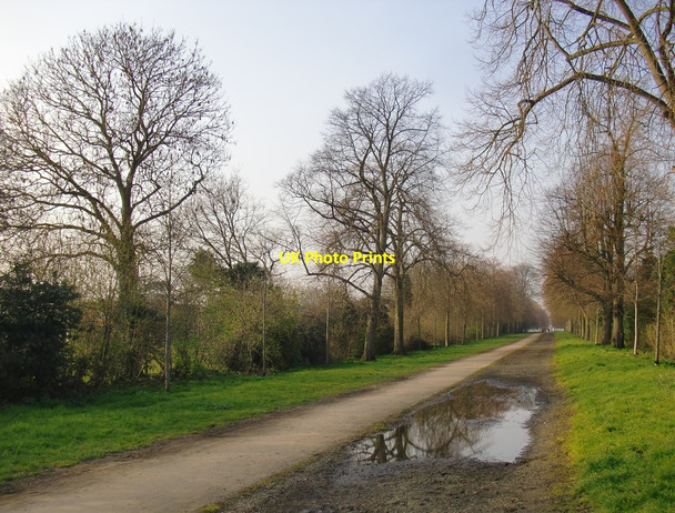 Photo 6"x4" The Great South Avenue, Ham (2) Kingston Upon Thames c2016