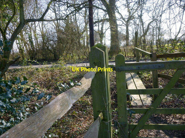 Photo 6"x4" Footpath reaches The Mount via gate and bridge Ifieldwood c2016