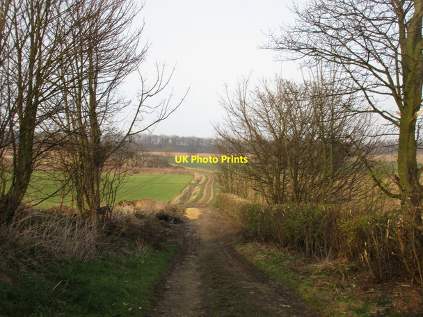 Photo 6"x4" St. Helen's Lane Barnburgh c2016