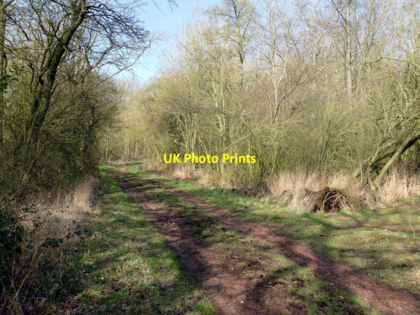 Photo 6"x4" In Nut Wood Belle Eau Park c2016