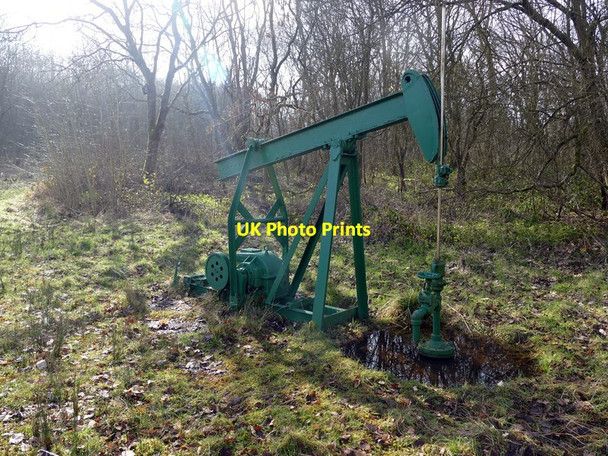 Photo 6"x4" Preserved nodding donkey in Duke's Wood Belle Eau Park c2016 P1