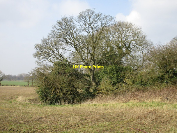 Photo 6"x4" Trees surrounding a pond, Sigglesthorne Seaton\/TA1646 c2016