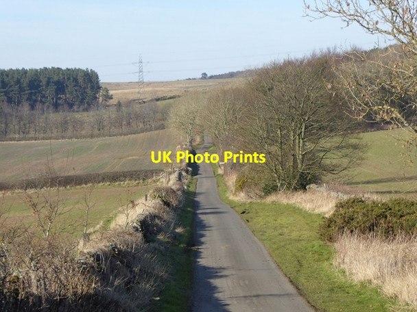 Photo 6"x4" Switchback road from Sandhoe to Fawcet Hill Sandhoe c2016