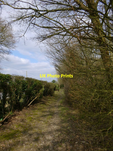 Photo 6"x4" Sussex Border Path heads north east beside Horley Road Charlwood\/TQ2441 c2016