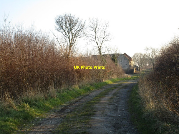 Photo 6"x4" Bridleway and Conisbrough Lodge Farm Clifton\/SK5196 c2016