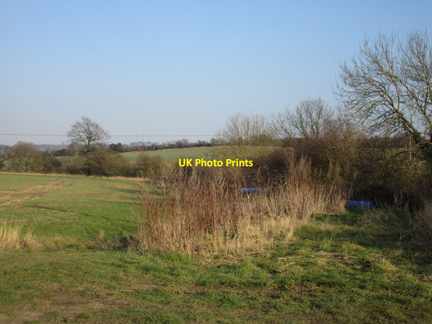 Photo 6"x4" Field edge near Firsby Hall Farm Conisbrough c2016