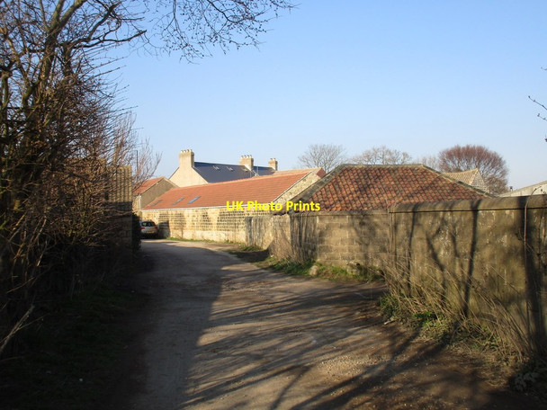Photo 6"x4" Firsby Lane at Hilltop Conisbrough c2016