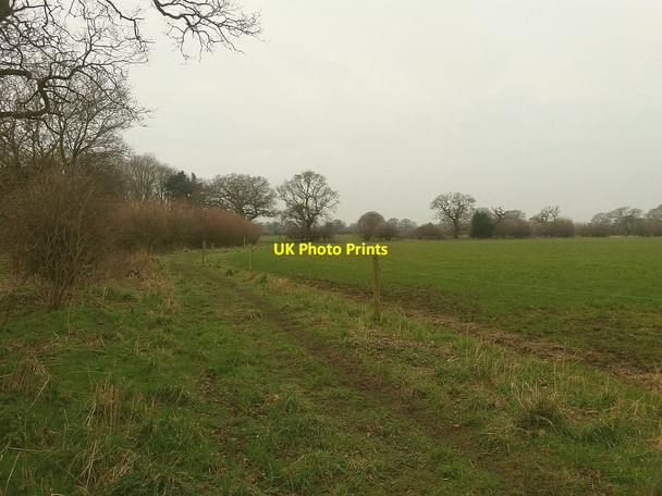 Photo 6"x4" Footpath past Fox Covert Farm Bradwall Green c2016
