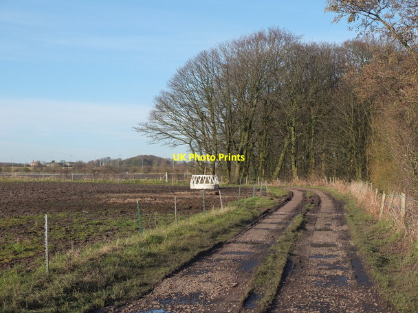 Photo 6"x4" Path between Intake Lane and Rainford Road at Barker's Brook Rainford c2016