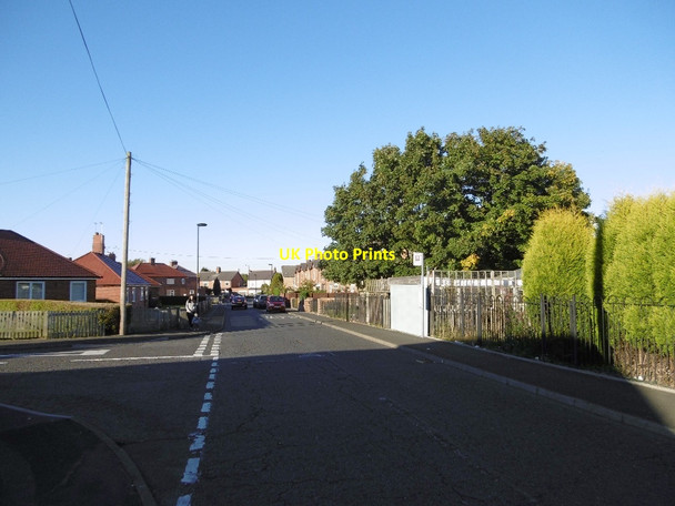 Photo 6"x4" Rogerston Terrace Westerhope c2015