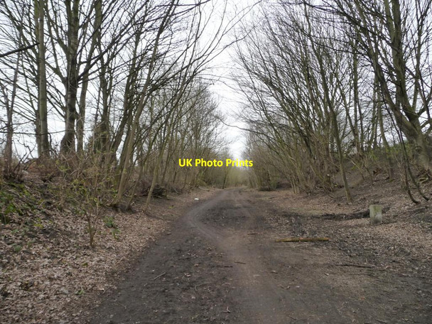 Photo 6"x4" The Trans Pennine Trail, Worsbrough, looking west Worsbrough c2016