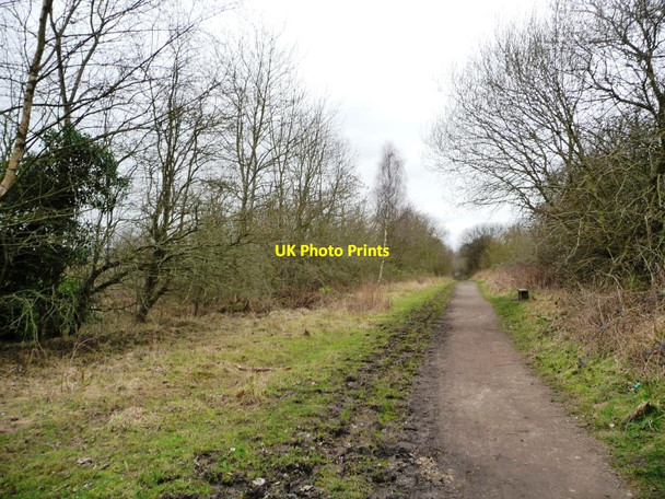 Photo 6"x4" The Trans Pennine Trail alongside woodland Worsbrough c2016