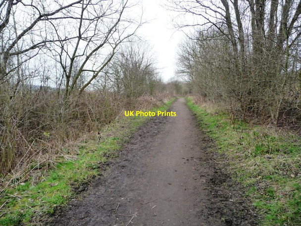 Photo 6"x4" The Trans Pennine \/ Dove Valley Trail, heading west Worsbrough c2016