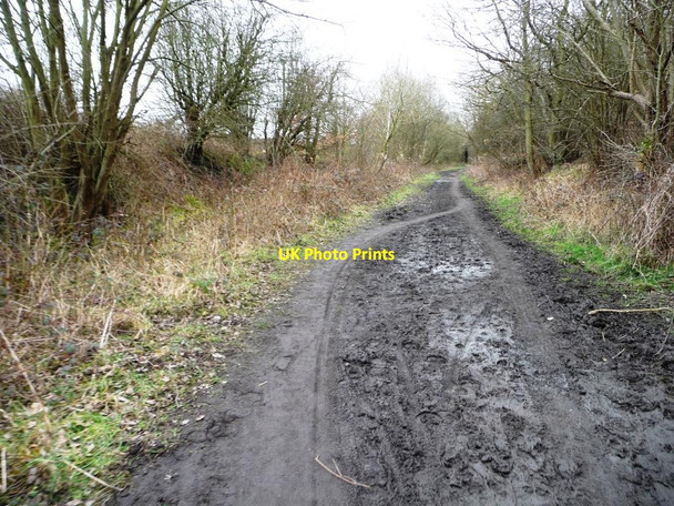 Photo 6"x4" Tracks of users on the Trans Pennine\/ Dove Valley Trail Worsbrough c2016
