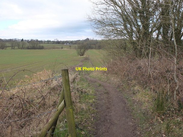 Photo 6"x4" Path to Hic Bibi Well from Langtree Hall Standish\/SD5610 c2016
