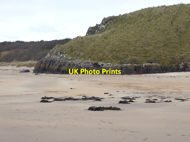 Photo 6"x4" Headland at Bathan's Strand Tyninghame c2016