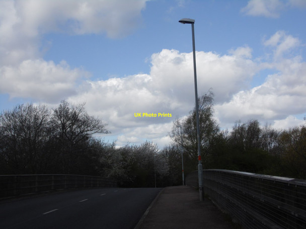 Photo 6"x4" Northampton: Weston Mill Lane Abington Vale c2015