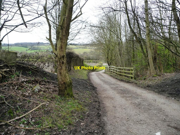 Photo 6"x4" Lane running down to Green Lane and Brough Green Barnsley\/SE3406 c2016