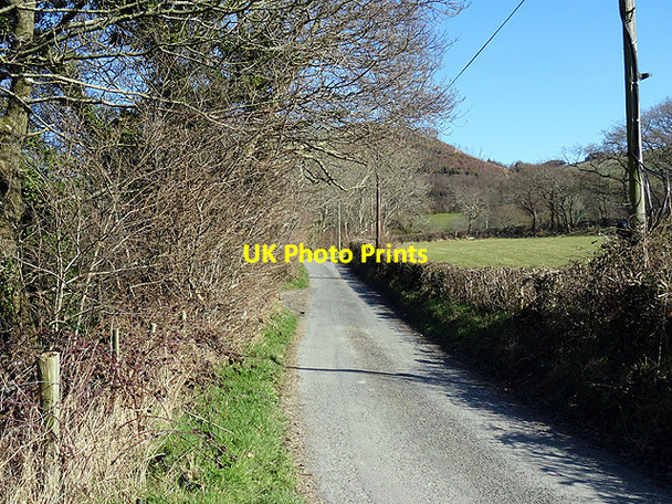 Photo 6"x4" The lane to Aberffrwd Aberffrwd\/SN6878 c2016