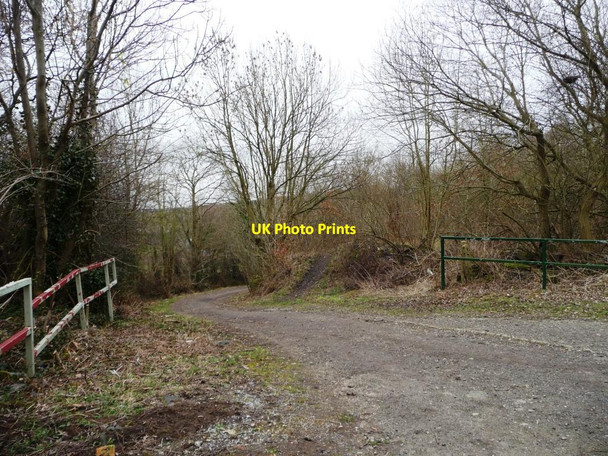 Photo 6"x4" Track to Gilroyd Lane Barnsley\/SE3406 c2016