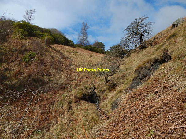 Photo 6"x4" A tributary of the Overtoun Burn Bellsmyre c2016