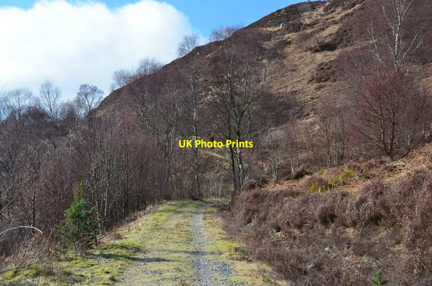 Photo 6"x4" Lendrick Hill and Dam Walk, Trossachs Brig o' Turk c2016