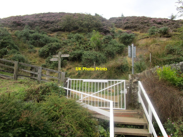 Photo 6"x4" Footpaths, Goathland Station Goathland c2014