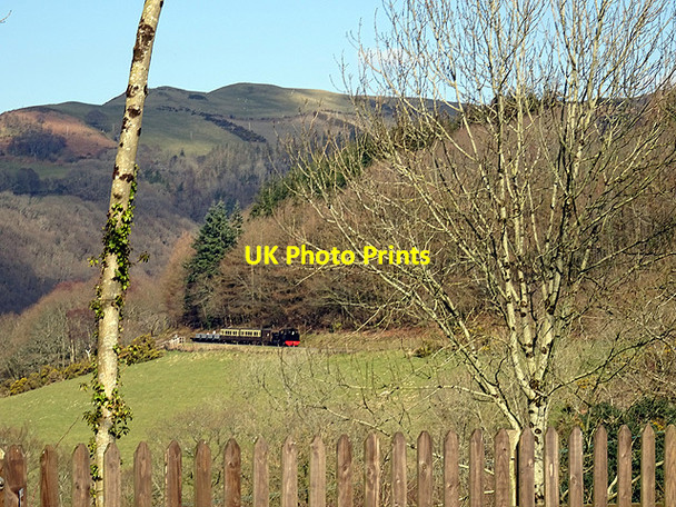 Photo 6"x4" Vale of Rheidol Railway Aberffrwd\/SN6878 c2016