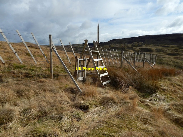 Photo 6"x4" Stile in deer fence Bellsmyre c2016