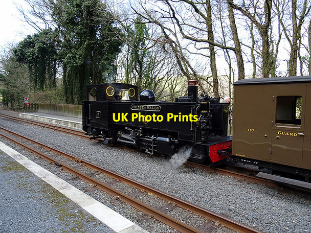 Photo 6"x4" Vale of Rheidol locomotive No. 9 'Prince of Wales' at Aberffrwd Aberffrwd\/SN6878 c2016