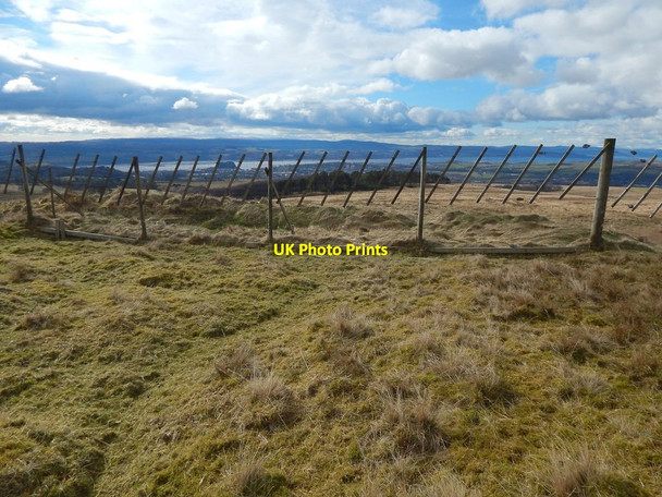 Photo 6"x4" Deer fence Bellsmyre c2016