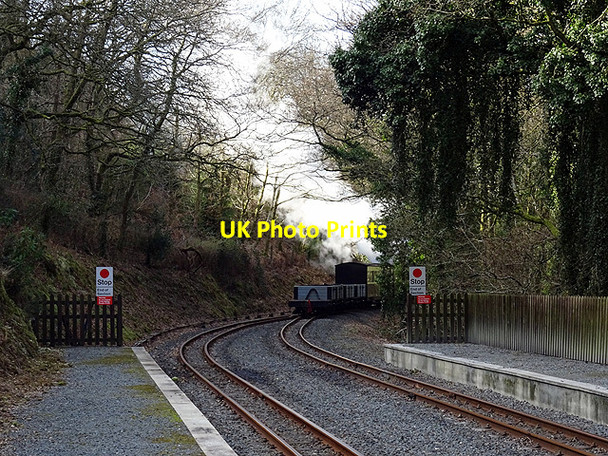 Photo 6"x4" A final glimpse of a special charter train leaving Aberffrwd Aberffrwd\/SN6878 c2016