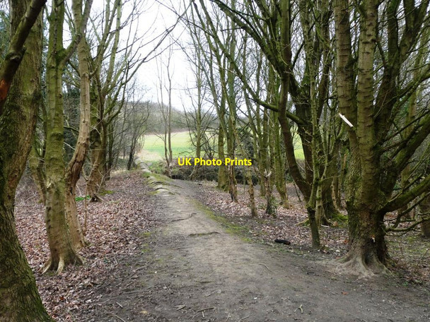 Photo 6"x4" Pipe crossing the River Dove Worsbrough c2016