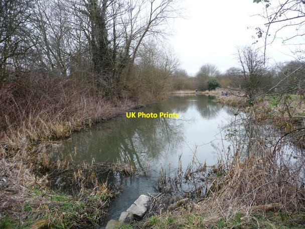 Photo 6"x4" The former Worsbrough branch canal [lower level] Worsbrough c2016