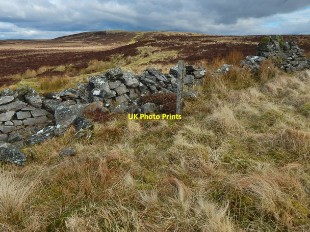 Photo 6"x4" Dry-stone wall Bellsmyre c2016