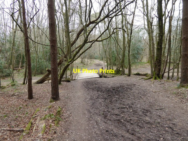 Photo 6"x4" Footbridge over Frenchbridge Gill in Old Copse Ashfold Crossways c2016
