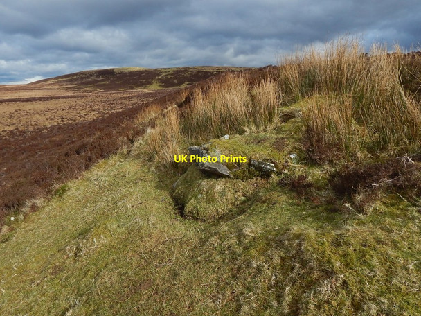 Photo 6"x4" Limestone outcrop Bellsmyre c2016