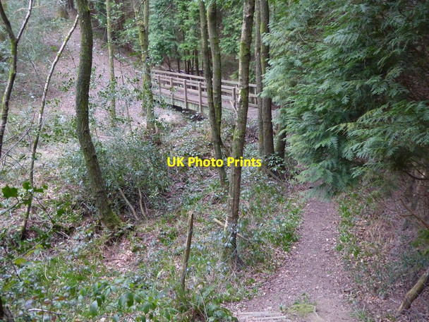 Photo 6"x4" Footbridge crosses tributary to Hammer Pond Ashfold Crossways c2016