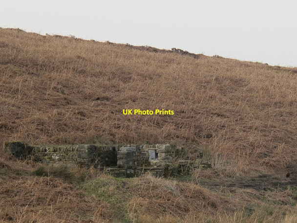 Photo 6"x4" Gill Head, Rombalds Moor Ilkley c2016