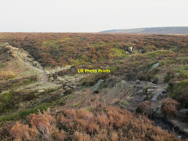 Photo 6"x4" Crossing of paths on Rombalds Moor Ilkley c2016