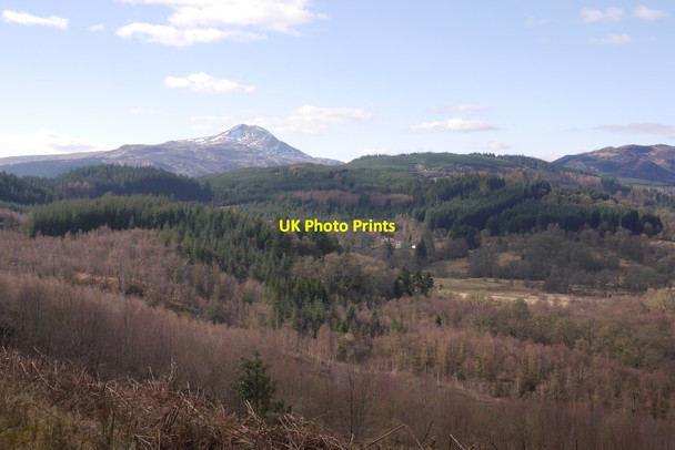 Photo 6"x4" Loch Ard Forest Altskeith c2016