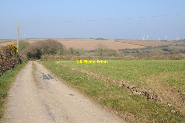 Photo 6"x4" Track to Scotland Farm, Rejerrah Hendra Croft c2016