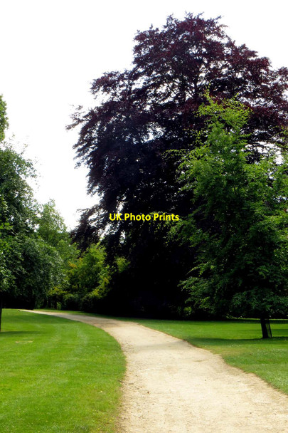 Photo 6"x4" Path in Blenheim Palace grounds Woodstock\/SP4416 c2015