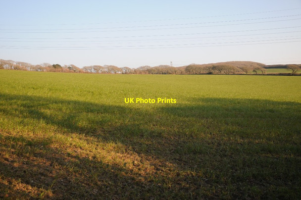 Photo 6"x4" Farmland near Tretherres St Allen c2016