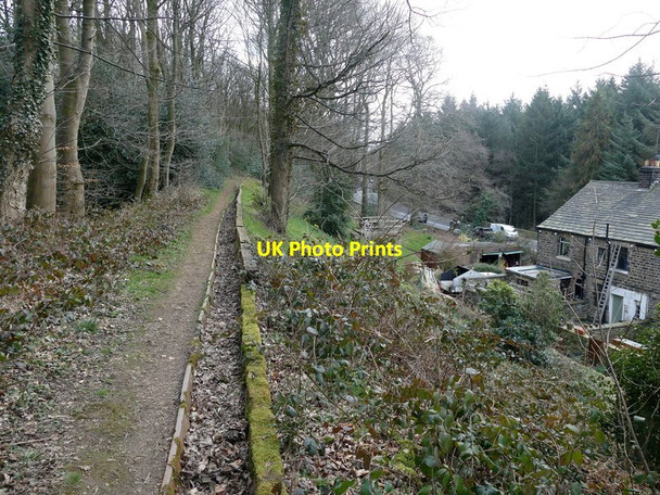 Photo 6"x4" Path in Sheephouse Wood Midhopestones c2016