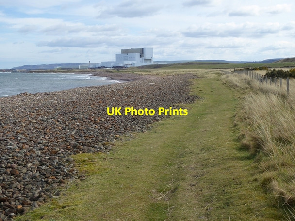 Photo 6"x4" Shingle beach west of Skateraw Innerwick\/NT7274 c2016
