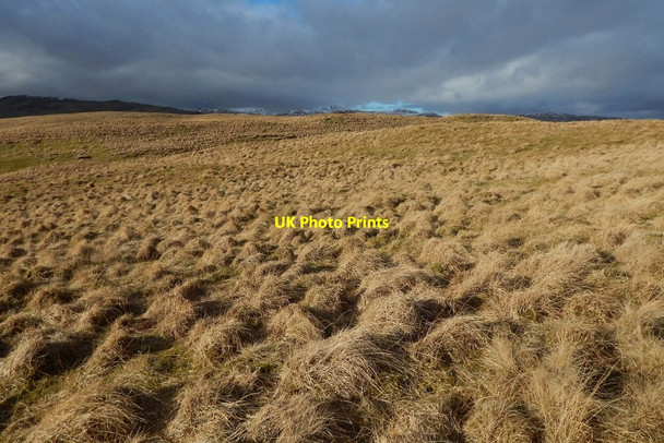 Photo 6"x4" Moorland behind Callander Craig Callander c2016 P1