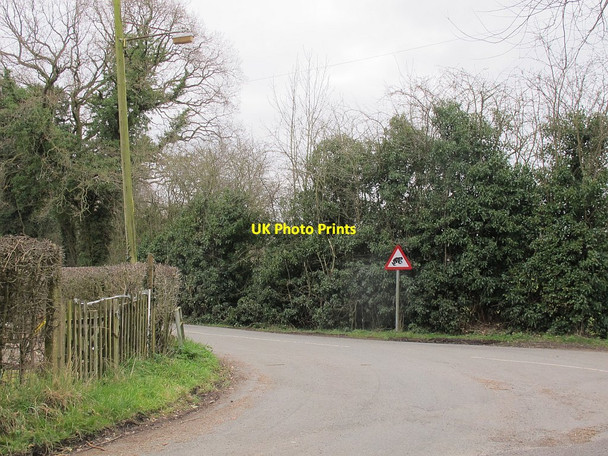 Photo 6"x4" Toad warning Moston\/SJ7261 c2016