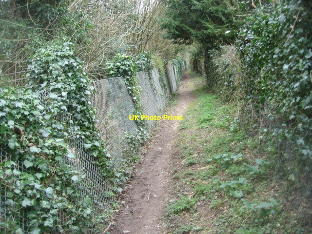 Photo 6"x4" Footpath behind Kings Orchard Pardown c2016